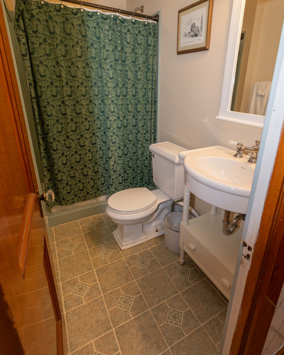 Bathroom 4, The Hand Hotel, Park