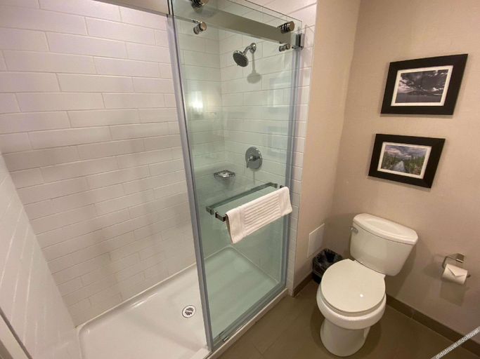 Bathroom 4, Comfort Inn & Suites, Fraser-Fort George