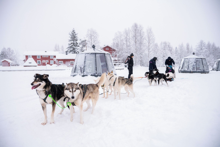 Miscellaneous 2, Aurora Lake Lodges, Lapland