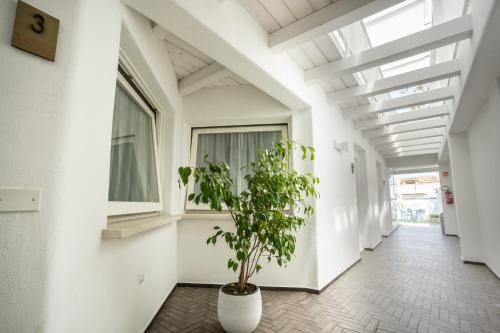 Others 2, Aras Hotel Boutique, Cagliari