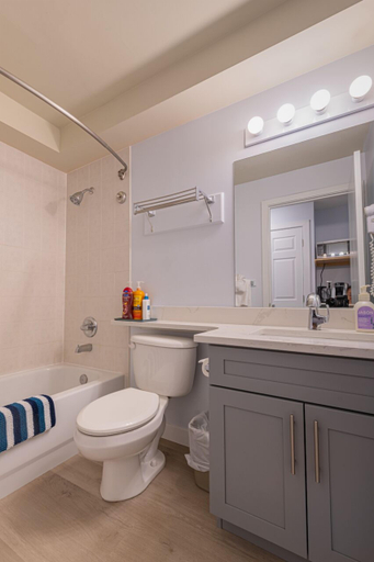Bathroom, One Hotel Room with King Bed & AC, Division No. 15
