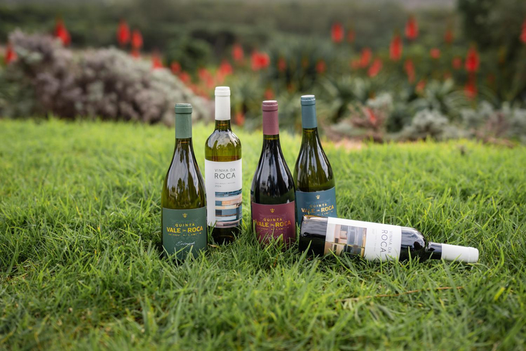 Food & Drinks, Quinta Vale da Roca, Sintra