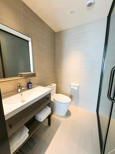 Bathroom 4, Hanting Hotel Ylan County Government Tongjiang Road, Harbin