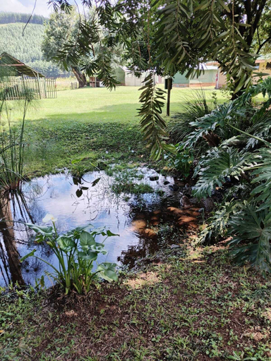 Others 4, Sabie River Camp, Ehlanzeni