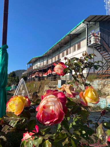 Exterior detail, Stone Rose Vista, Tehri Garhwal