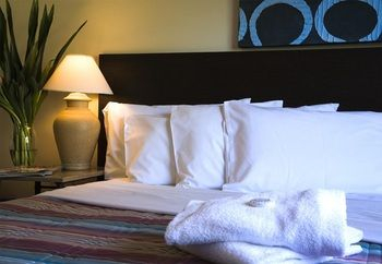 Others 5, Avoca Randwick by Sydney Lodges, Sydney