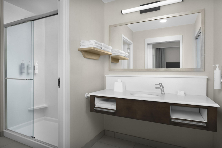 Bathroom 3, Hampton Inn & Suites Charlotte/Ballantyne, Mecklenburg