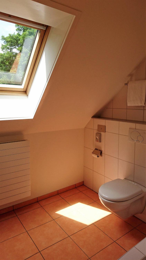 Bathroom 3, Hotel Promenade, das ruhige Stadthotel mit kostenfreien Parkplatzen, E-Auto-Ladestationen und Privat, Andelfingen