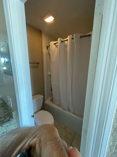 Bathroom 3, Royal Inn, Suwannee