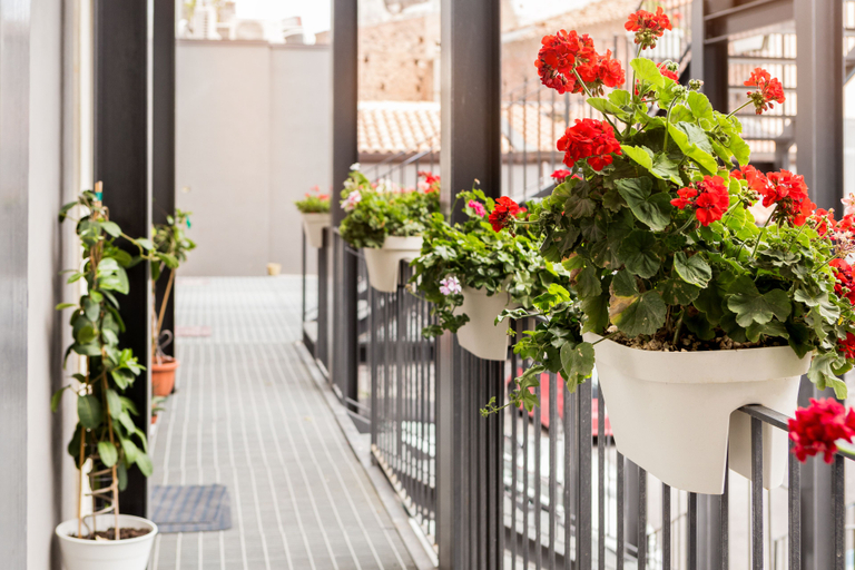 Exterior & Views 2, Scuto Home, Catania