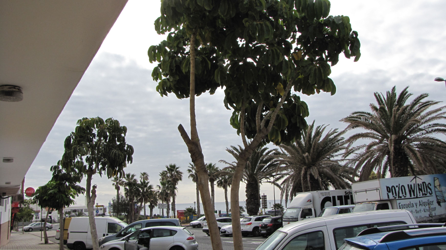 Others 4, Guesthouse Ca'Artu, Las Palmas