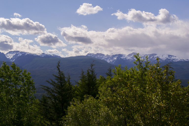 Others 2, Buena Vida Social Club, Bariloche