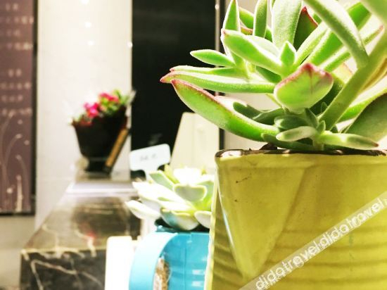 Food & Drinks 3, Diewu Qingchun Hotel, Dazhou