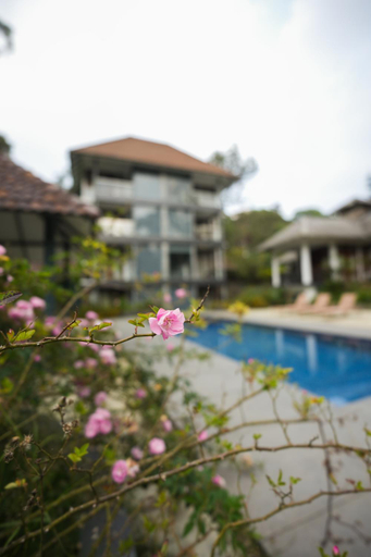 Sport & Beauty 2, Elixir Woods Resort And Spa, Idukki