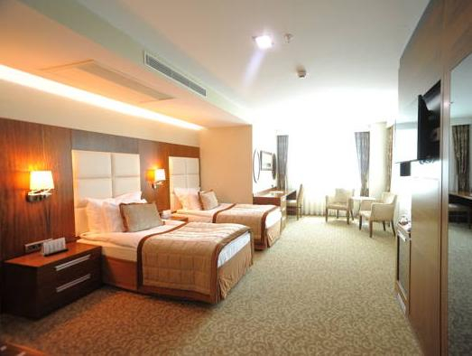 Others 4, VIVALDI CE GOLD HOTEL, Çankaya