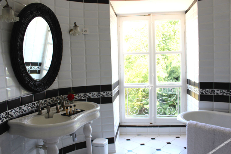 Bathroom, Château de Blet, Cher