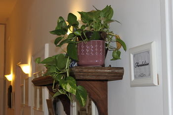 Others 5, A Casa Boschi Guest House, Rome