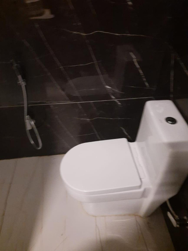 Bathroom, PURPLE ORCHID HOTEL AND RESORT, Surguja