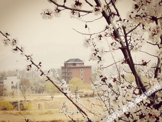 Others 3, Shanbei Holiday Hotel, Yulin