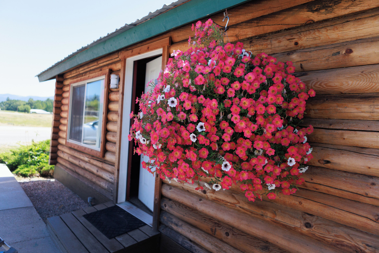 Exterior & Views, Big Medicine Cabins, Lake