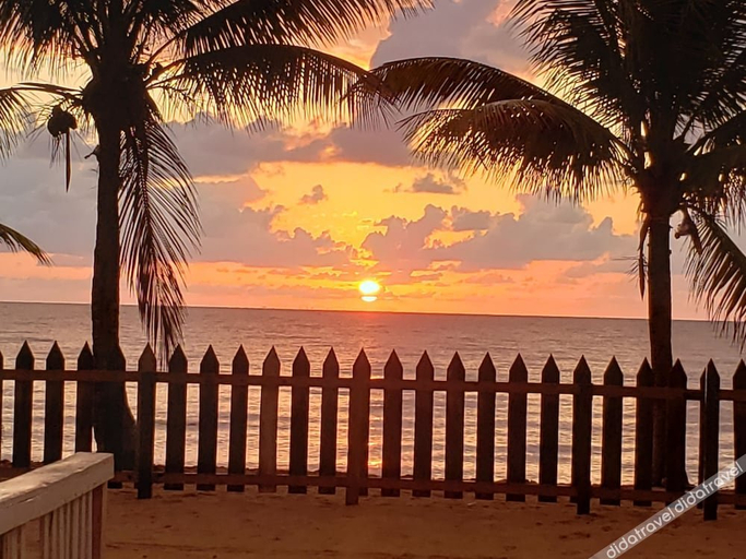 Others 2, Pal's on the Beach - A Gold Standard Hotel