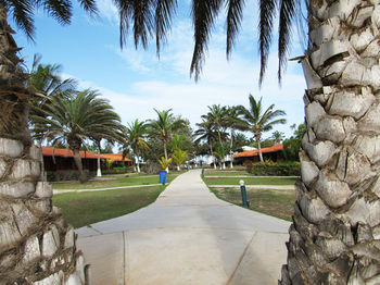 Others 4, Hotel Coche Paradise, Isla de Coche