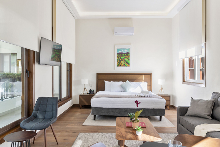 Others 5, Casa Herrmann Suites, Mexico City