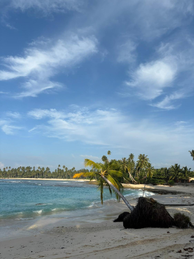 Others 2, Surfcamp katiet mentawai, Kepulauan Mentawai