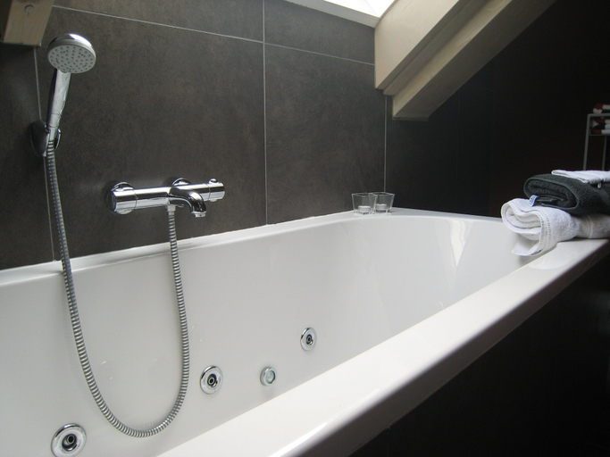 Bathroom 4, Apartment in Netherlands With Sauna, Sluis
