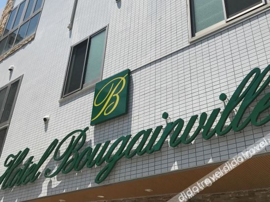 Others 3, Bougainvillea Hino Hotel, Hino