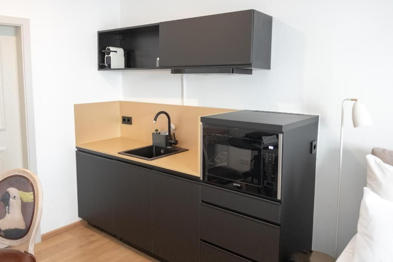 Others 3, ANA Suites Augsburg City Center, Augsburg