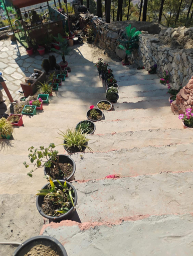 Others 2, Nature Villaas BASA HOMESTAY, Garhwal