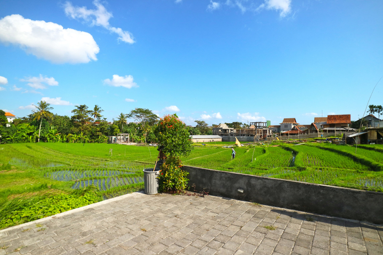 Others 4, Pererenan Nengah Guesthouse, Badung