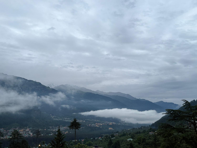 Others 5, New Suraj Inn - Nestled near Hadimba Temple ! Rooftop Cafe ! Private Parking, Kullu