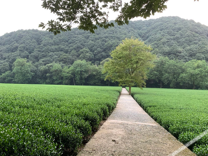 Others 5, Tongtang Guesthouse, Hangzhou