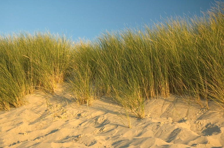 Others 5, Luxury 8-person Wellness Villa With Sauna, Noord-Beveland