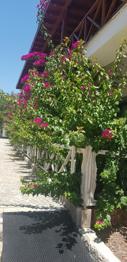 Others 3, Mausolos Beach Hotel, Bodrum