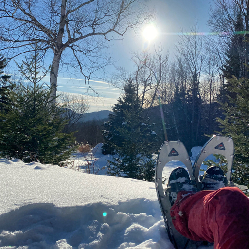 Others 5, Hotel Far Hills, Les Laurentides