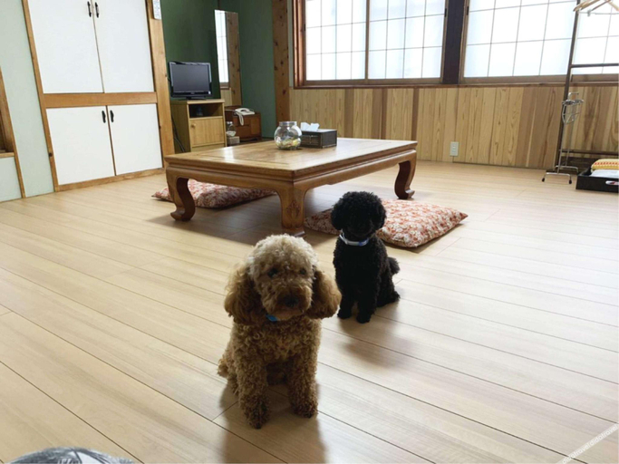 Bedroom 3, Oyado Yunosato, Shirakawa Village