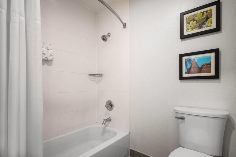 Bathroom 4, Wingate by Wyndham Los Alamos, Los Alamos
