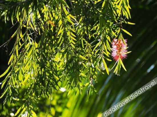 Others 4, Gajib Bed&Breakfast, Bang Khon Ti