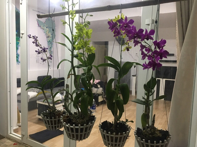 Others 4, Dao Ngoc VT1, Phú Quốc