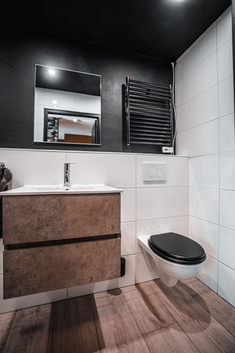 Bathroom 3, The Aquarium, Groningen