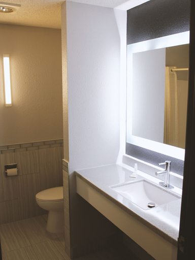 Bathroom 3, Norwood Inn & Suites Merrillville, Lake