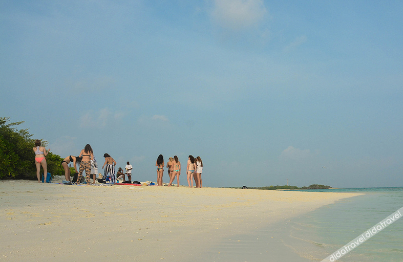 Others