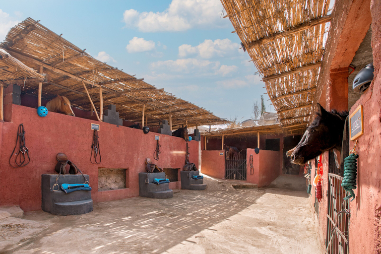 Exterior & Views 1, La Fattoria Ecolodge, Al Haouz