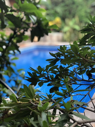 Sport & Beauty 2, Casa del Sol Inn, Chapala