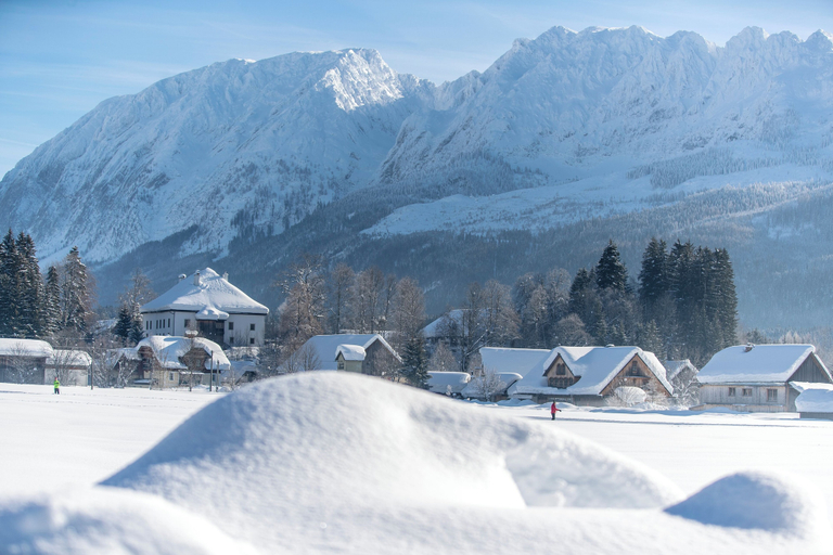 Land view from property 3, NOOK - Nature Hideaway, Liezen