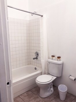 Bathroom, Gladiolas 1104