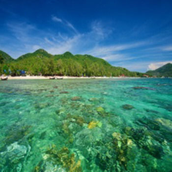 Others 1, Thalassa Hotel, Ko Phangan